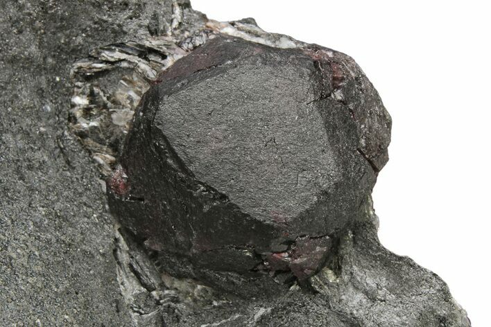 Large Red Embers Garnet in Graphite - Massachusetts #225878